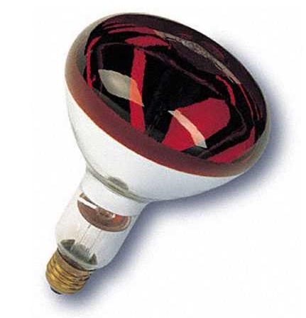 Bóng Đèn Hồng Ngoại Osram 250W